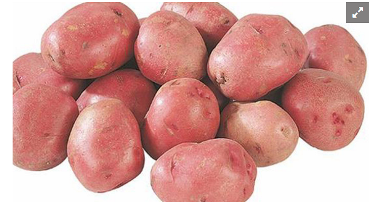 দেশি লাল আলু | Desi Lal Alu | local Potato