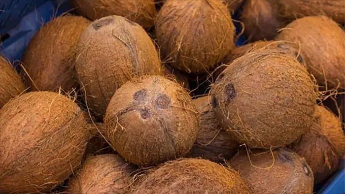 নারিকেল (শুকনা) | Dry Coconut | Narical