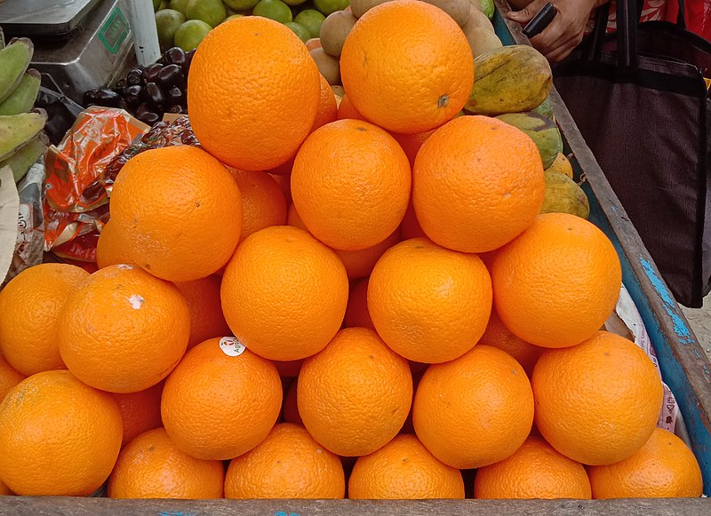 মালটা ফল | Malta fruit